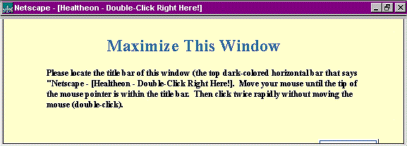 Typical browser window